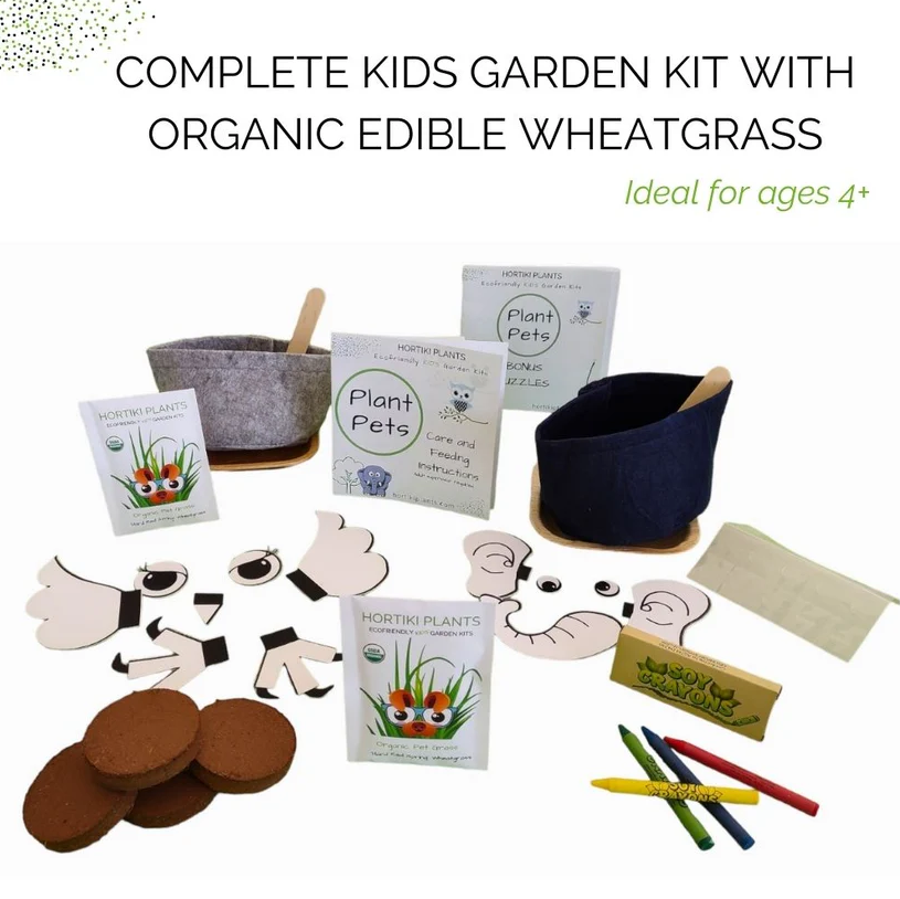Garden Kit (Kids Organic Pet Plant) - Hortiki Plants | SHOP MADE IN DC