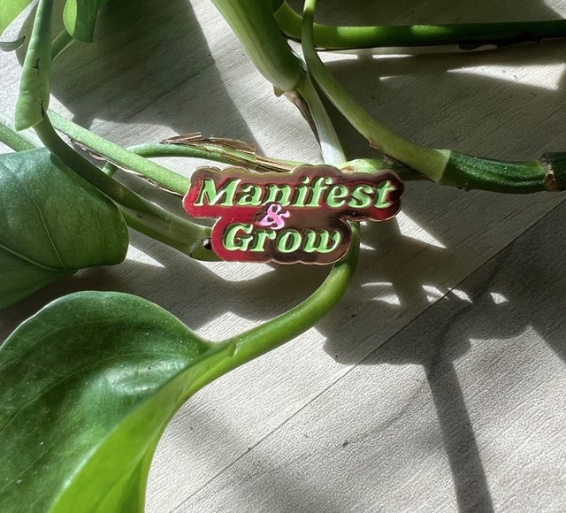 Enamel Pin (Potted Pothos) - Aster & Tulips